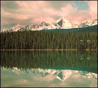 God's Country, Your Backyard