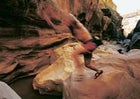 Dry run: clearing a creek in southeastern Utah