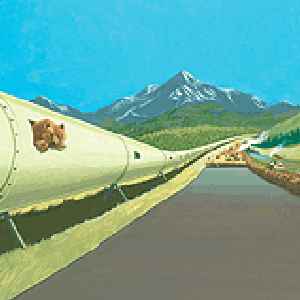 Your tax dollars at work: the animal pipeline and Operation PAVE in action in Glacier National Park