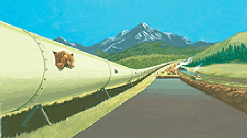 Your tax dollars at work: the animal pipeline and Operation PAVE in action in Glacier National Park