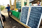 City Farm