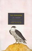 J. A. Baker’s The Peregrine