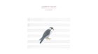 Lawrence English鈥檚 The Peregrine