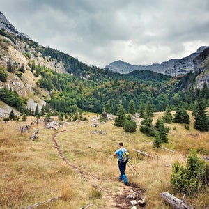 Hiker on Trail