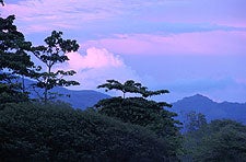 Pura vida: mountain forest in Costa Rica's Guanacaste province