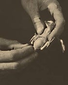 Birdland: Greg Hagan cradles a woodpecker chick.