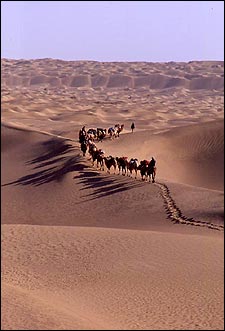 A line in the sand: Mike Libecki and the expedition team trek towards a distant sand ridge.