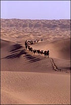 A line in the sand: Mike Libecki and the expedition team trek towards a distant sand ridge.