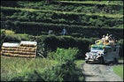 Jeepney ride near Tinglayan.