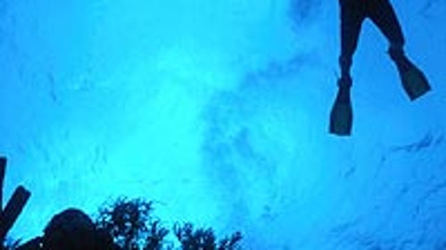 Feeling blue: a diver descends onto the reef off Belize