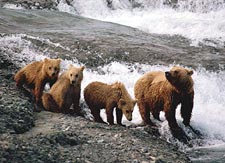 Family outing: mom and the kids head downstream