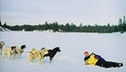Cold is cool: Paul and Susan Schurke making the most of winter in Ely, Minnesota.