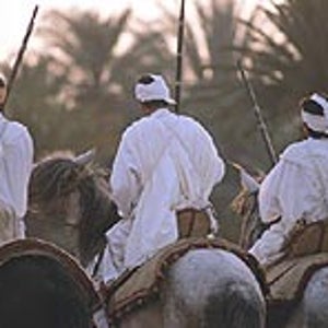 Horsepower: Berber riders in Marrakech
