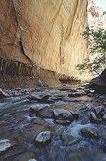 The Narrows in Zion National Park