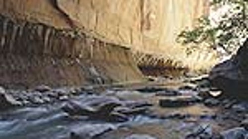 The Narrows in Zion National Park
