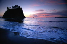 Gold-medal gorgeous: end of day on the coast of Olympic National Park