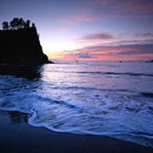 Gold-medal gorgeous: end of day on the coast of Olympic National Park