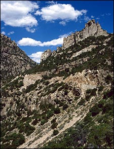 Monsoon hopeful: Arizona's Mount Lemmon