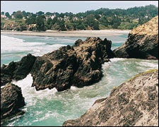 The Mendocino connection: where big water meets the Big River