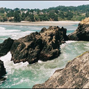 The Mendocino connection: where big water meets the Big River