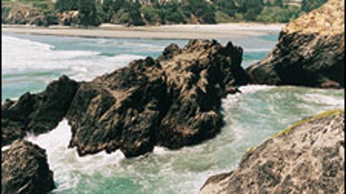 The Mendocino connection: where big water meets the Big River