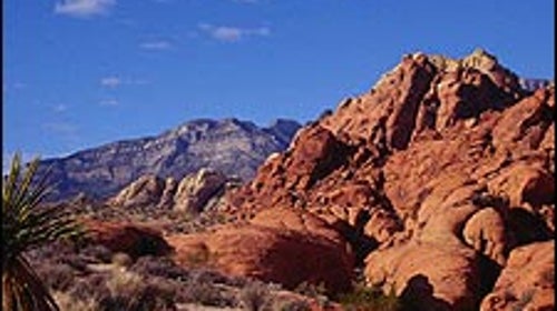 Rocky road: Red Rock's Calico Hills right and La Madre Mountains.