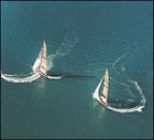 The stealth yacht's of Oracle BMW Racing in New Zealand's Hauraki Gulf.