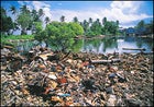 One of the many trash pits on the island.