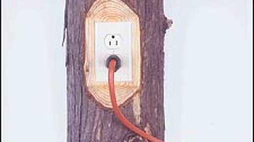 Photograph by John Clark