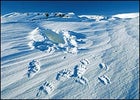 Fresh tracks and a winter den left behind by a polar bear and her cub in the refuge's 1002 region, March 2002