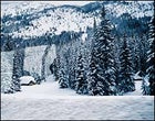 Snow-bound: The powder piles up near Revelstoke, B.C.