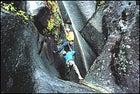 Look out below: a Canadian team attempts Low's Gully, March 2002.