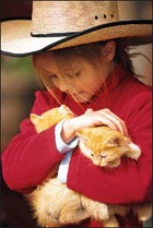 A kitten wrangler at Sundance Trail Guest Ranch