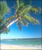 Welcome to your una-beach, with all the requisite ingredients in place