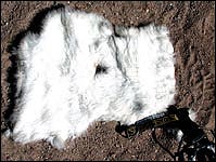 The Patch, the creepiest artifact in Everest history (Dave Cox) Click here to read the complete story.