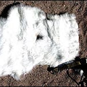 The Patch, the creepiest artifact in Everest history (Dave Cox) Click here to read the complete story.