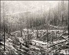 Quartz Fire, February 2003