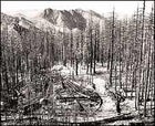 Looks bad, but it's natural: This area from 2001-02 fires in Montana and Oregon, will see an explosion of growth and returning wildlife in the years ahead.