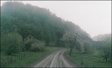 Dream acres: Finding that dirt path home.