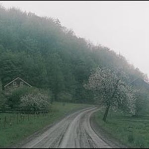 Dream acres: Finding that dirt path home.