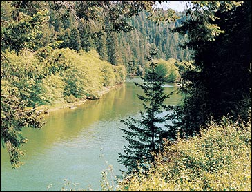 Sneak preview: The heart of the Big River near Mendocino