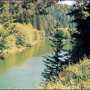 Sneak preview: The heart of the Big River near Mendocino