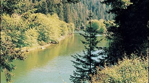 Sneak preview: The heart of the Big River near Mendocino