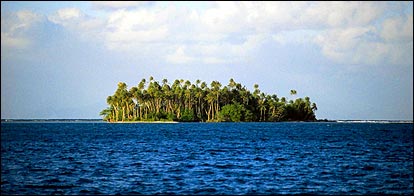 A bounty worthy of mutiny: the palm-treed perfection of Tahiti, frothy drinks optional