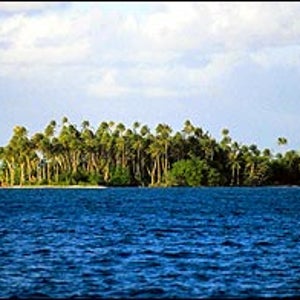 A bounty worthy of mutiny: the palm-treed perfection of Tahiti, frothy drinks optional