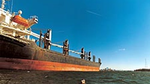 Activist Chris Swain swims the polluted Columbia River.