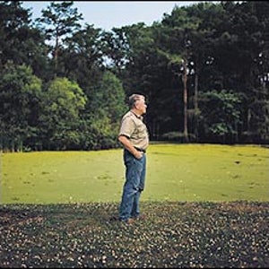 Schoeffler gazes at the Atchafalaya's Cove Swamp.