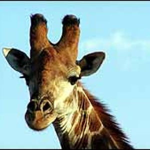 What are you looking at?