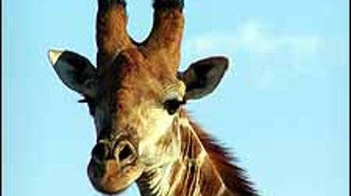 What are you looking at?