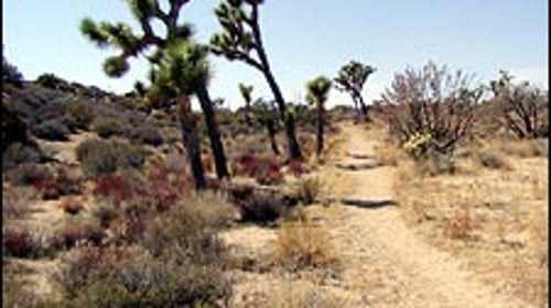 View from the California Riding and Hiking Trail